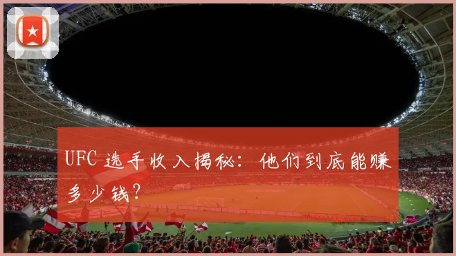 UFC 选手收入揭秘:他们到底能赚多少钱?