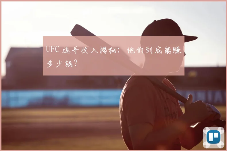 UFC 选手收入揭秘:他们到底能赚多少钱?